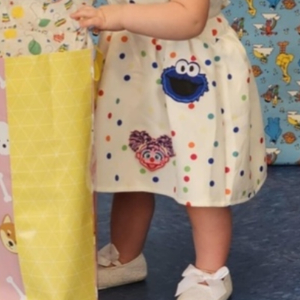 Elmo Dress Smash Cake Second Birthday Cookie Monster Clothes Sesame Street Abby - Picture 3 of 6